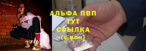 дурь Инта