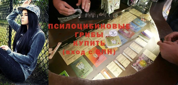 дурь Инта