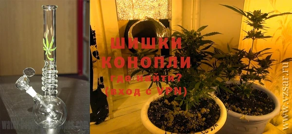 дурь Инта