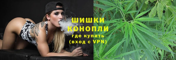 гашик Яровое