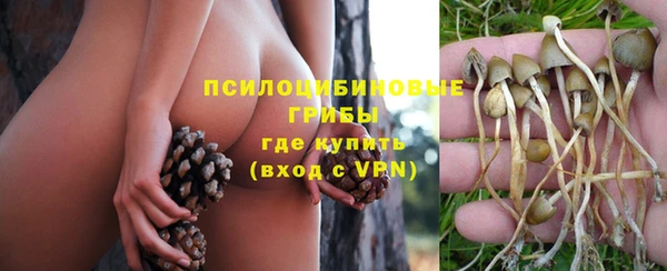 дурь Инта