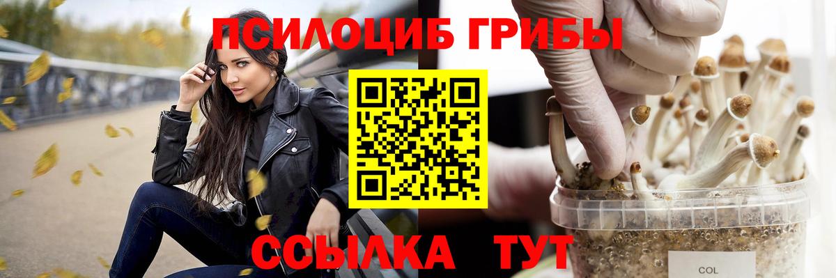 Менделеевск  Псилоцибиновые грибы Psilocybine cubensis  купить наркотик  Вход с VPN 