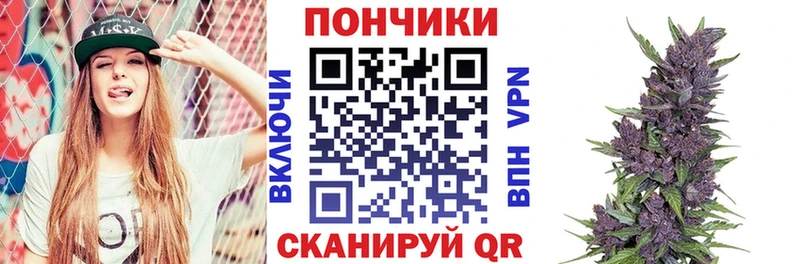 даркнет состав  Менделеевск  Шишки марихуана семена 